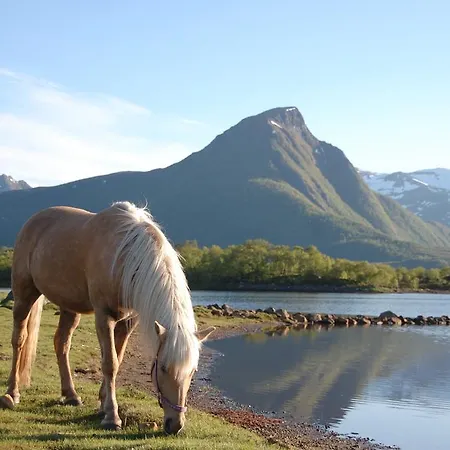 Lägenhet Livland Lofoten *